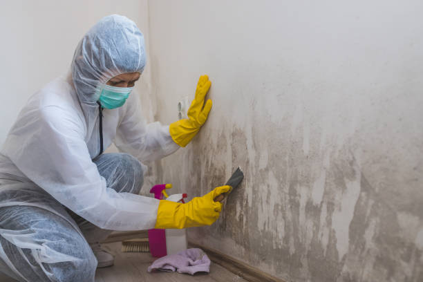 Best Residential Mold Removal  in Tunica, MS