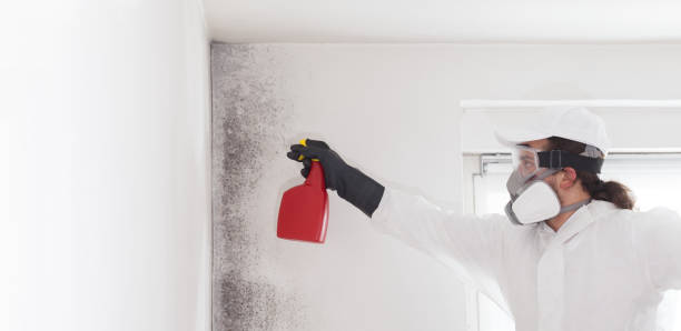 Best Mold Testing  in Tunica, MS