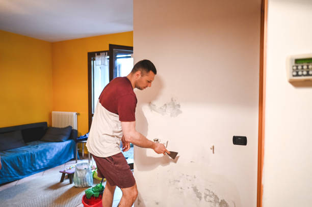 Best Mold Remediation Experts  in Tunica, MS